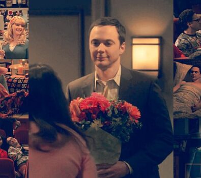 Revisión | The Big Bang Theory 9×11: The Open Night Excitation