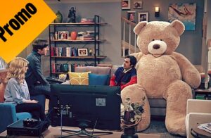 Sinopsis, imágenes y videos promocionales de 9×20: The Big Bear Precipitation