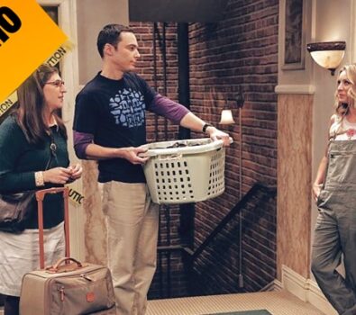 Sinopsis, imágenes y videos promocionales de 10×04: The Cohabitation Experimentation