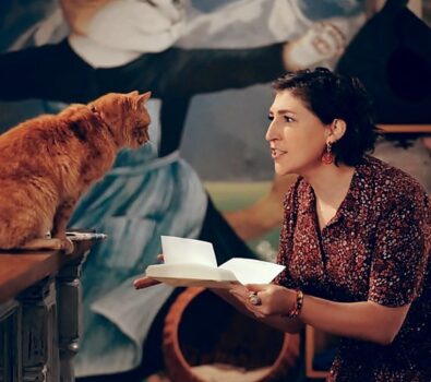 Call Me Kat renueva para una temporada 2, pero habrá cambios Call Me Kat renueva para una temporada 2, pero habrá cambios